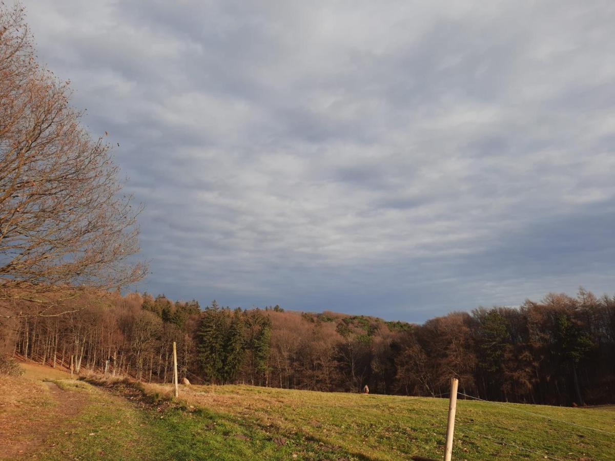 Erholungsheim Im Wienerwald Irenental Eksteriør bilde