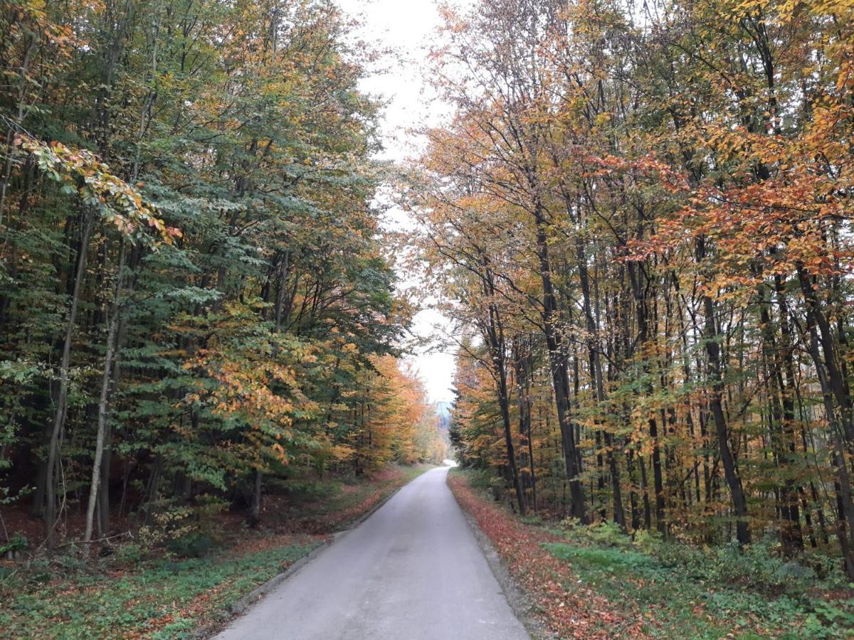 Erholungsheim Im Wienerwald Irenental Eksteriør bilde